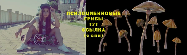 apvp Краснослободск