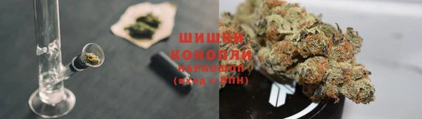 apvp Краснослободск