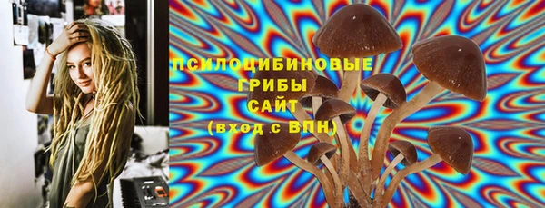 apvp Краснослободск