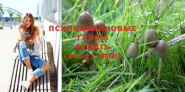 apvp Краснослободск