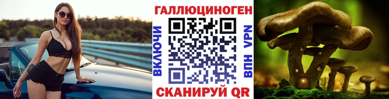 Галлюциногенные грибы GOLDEN TEACHER  Купить  Анжеро-Судженск 