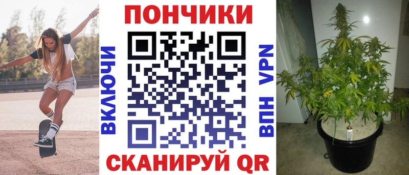 Купить закладки  Анжеро-Судженск  Канабис White Widow 